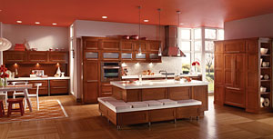 KraftMaid Contemporary and Dynamic Kitchen