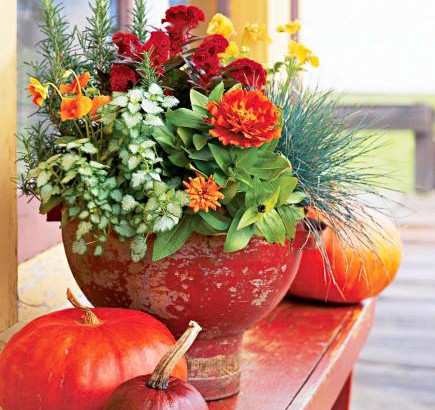 fallplanter