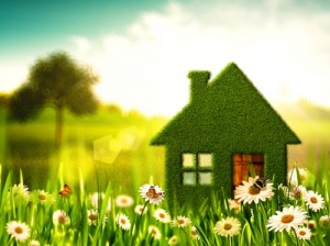 Survey finds satisfaction with green homes
