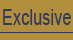 Exclusive Home Plans