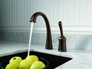 Delta Faucet Pilar Collection