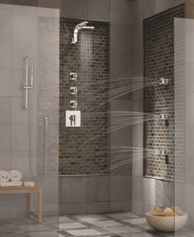Danze custom spa shower system