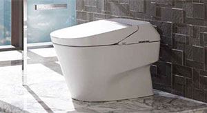 TOTO Neorest 700H Dual Flush Toilet, 1.0 & 0.8 GPF