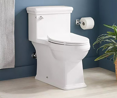 Signature Hardware Key West One-Piece Toilet