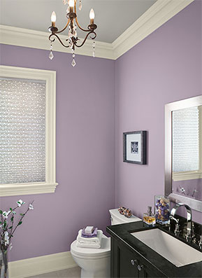 Benjamin Moore Aura Bath and Spa Waterbourne Interior Pain