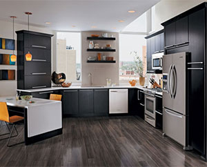 KraftMaid Contemporary and Dynamic Kitchen