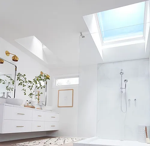 VELUX Skylights