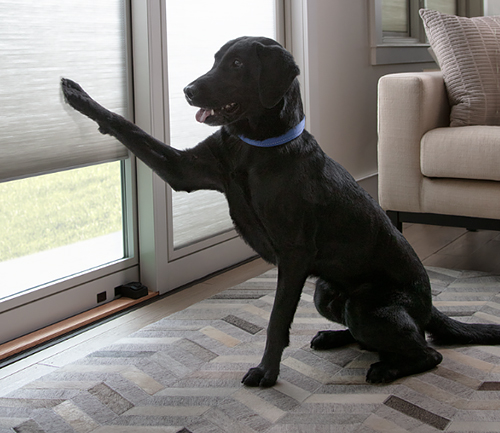 Integrated Shades That Provide Privacy and Light Control and Are Safe for Kids & Pets