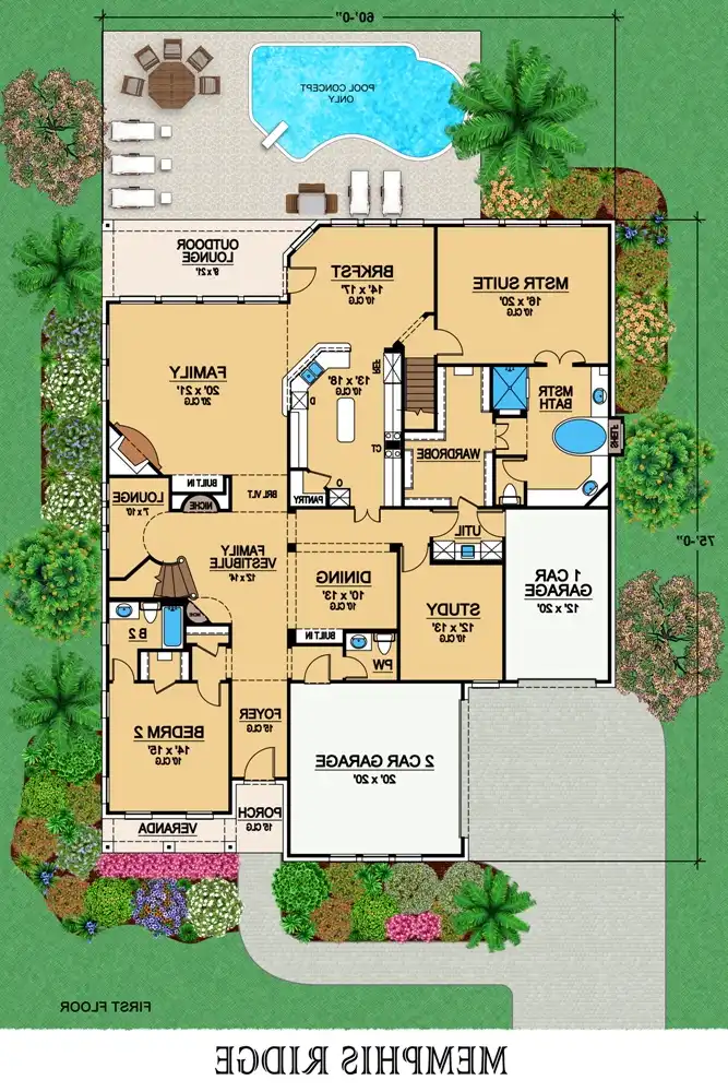 First Floor