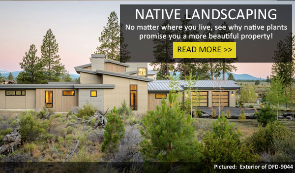 Learn How Native Landscaping Is a Great Choice for Curb Appeal!