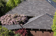 A Gorgeous Synthetic Roofing Tile with Shake Looks and Outstanding Durability