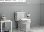 A Shaker-Style Toilet That Flushes Powerfully and Has a Higher-Than-Standard Seat